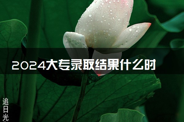 2024大专录取结果什么时候会出 怎么查询