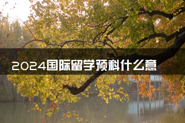 2024国际留学预科什么意思 需要什么资格证书