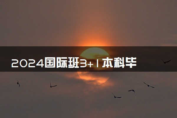 2024国际班3+1本科毕业国内承认吗 含金量高吗