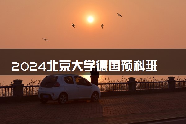 2024北京大学德国预科班学费多少钱 值得读吗