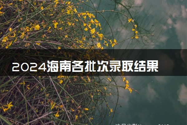 2024海南各批次录取结果手机端查询入口 具体查询步骤