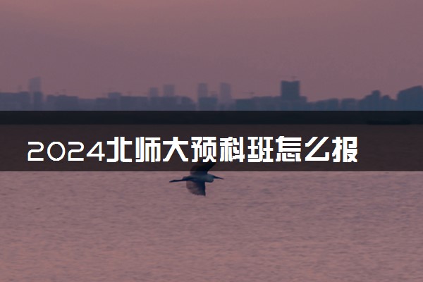 2024北师大预科班怎么报名 学费多少