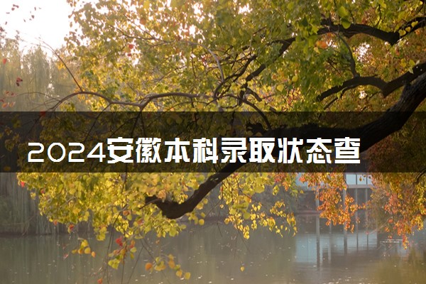 2024安徽本科录取状态查询方法及时间 哪天出录取结果