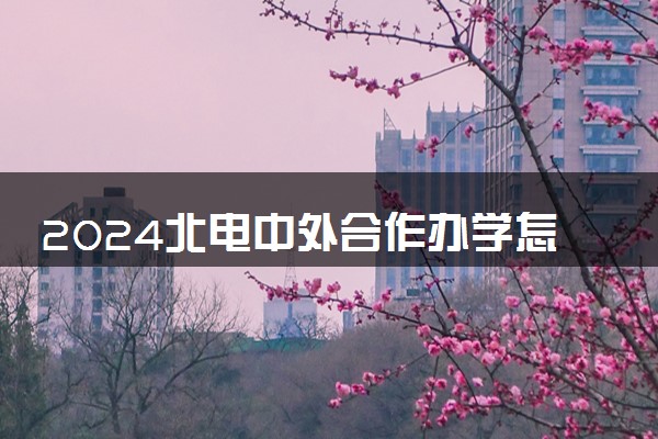 2024北电中外合作办学怎么样 有哪些专业