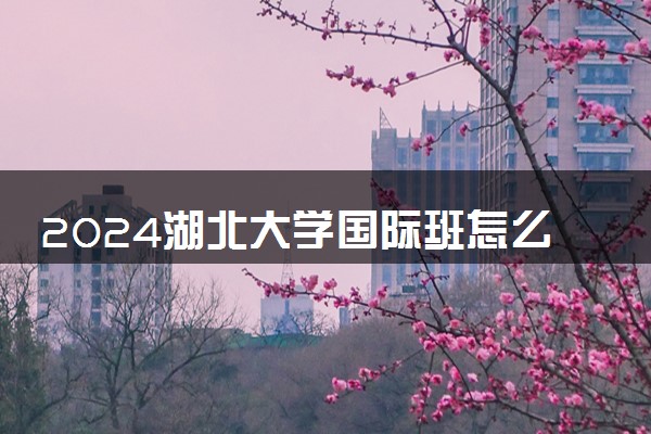 2024湖北大学国际班怎么样 有哪些专业