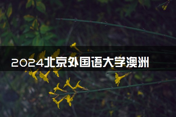 2024北京外国语大学澳洲预科班有什么专业 值不值得读