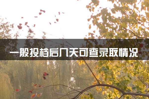 一般投档后几天可查录取情况 2024录取结果在哪查
