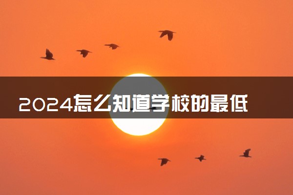 2024怎么知道学校的最低投档线 在哪查询