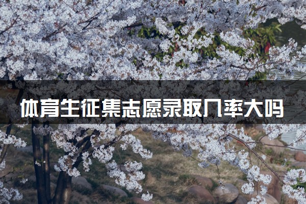 体育生征集志愿录取几率大吗 2024怎么报考
