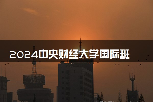 2024中央财经大学国际班费用 一年学费多少钱