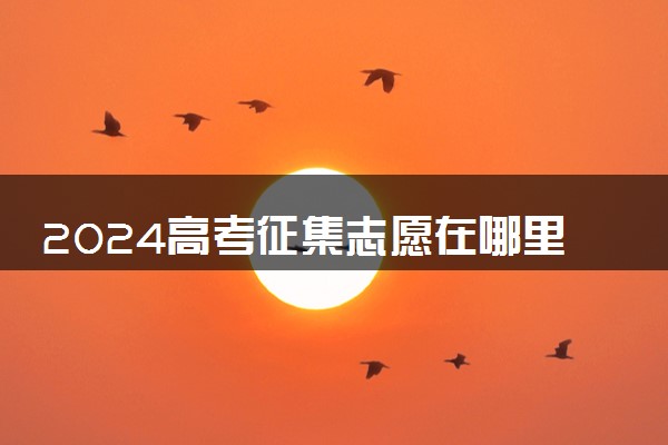 2024高考征集志愿在哪里能看到 怎么查询