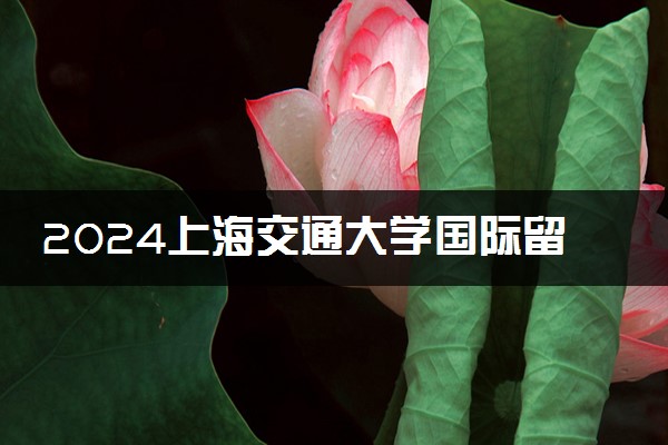 2024上海交通大学国际留学预科怎么样 值得读吗