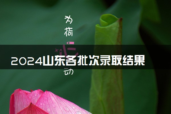 2024山东各批次录取结果查询方法 什么时候结束录取