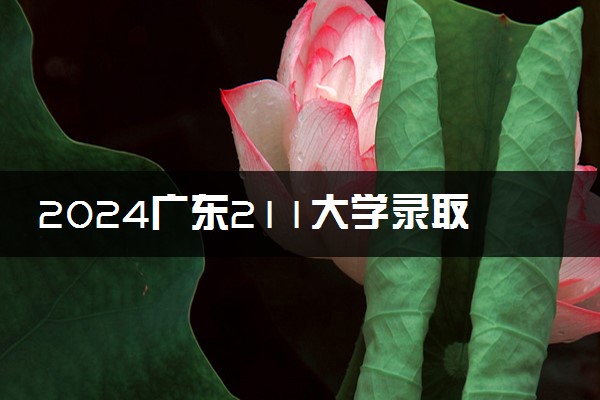 2024广东211大学录取率及录取人数是多少