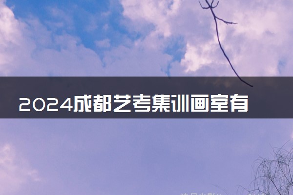 2024成都艺考集训画室有哪些地方好 如何选择