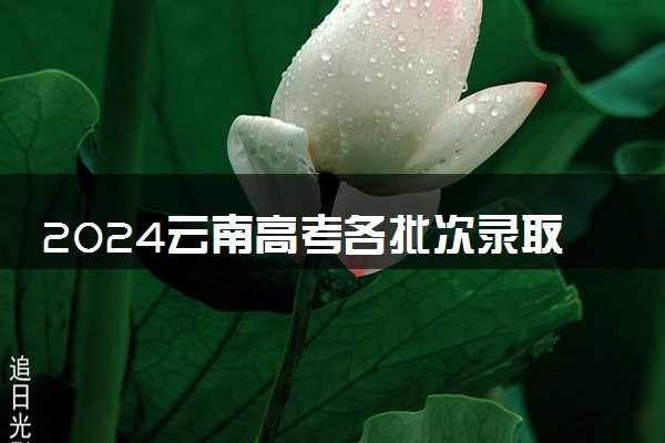 2024云南高考各批次录取通知书发放时间 多久能收到