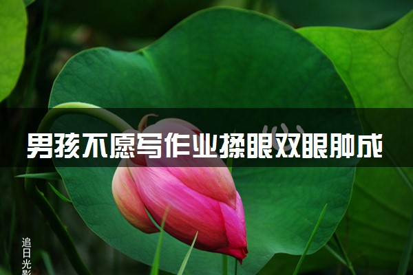 男孩不愿写作业揉眼双眼肿成悲伤蛙 具体怎么回事