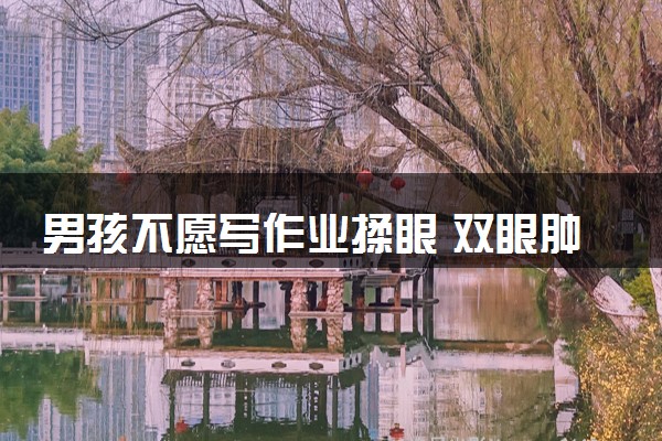 男孩不愿写作业揉眼 双眼肿成悲伤蛙 网友：对字过敏