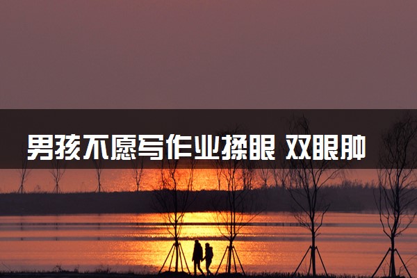 男孩不愿写作业揉眼 双眼肿成悲伤蛙什么情况