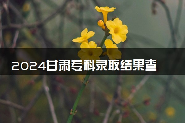 2024甘肃专科录取结果查询方法 什么时候结束录取