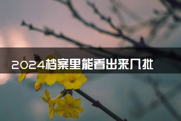 2024档案里能看出来几批次录取么 录取批次哪里查得到