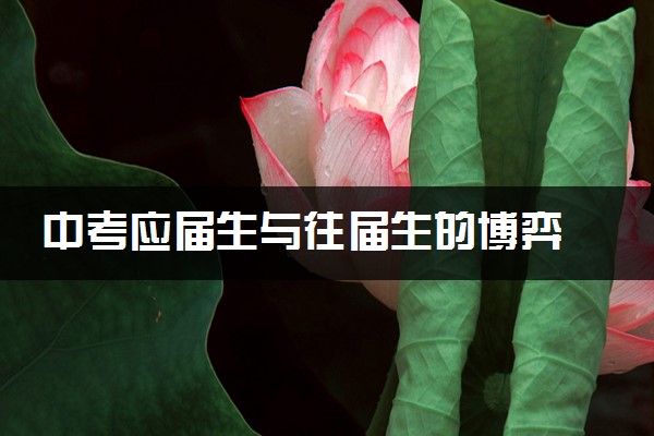 中考应届生与往届生的博弈 塔夫为你支招