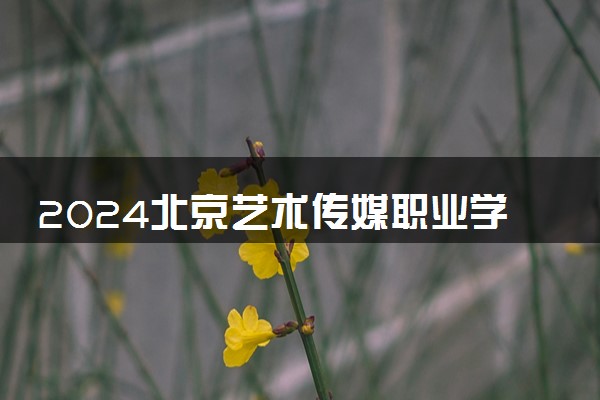 2024北京艺术传媒职业学院招生章程 录取规则是什么