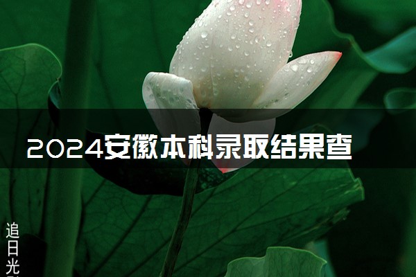 2024安徽本科录取结果查询方法 什么时候结束录取