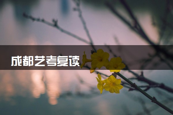 成都艺考复读