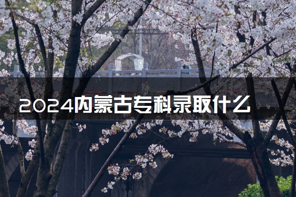 2024内蒙古专科录取什么时候结束 在哪查看录取结果