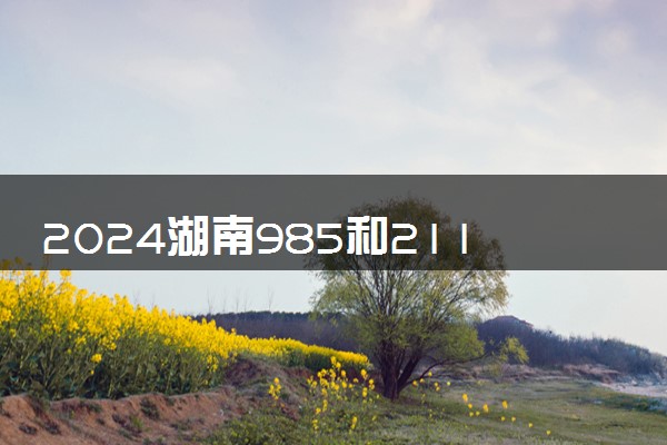 2024湖南985和211大学录取率及录取人数是多少