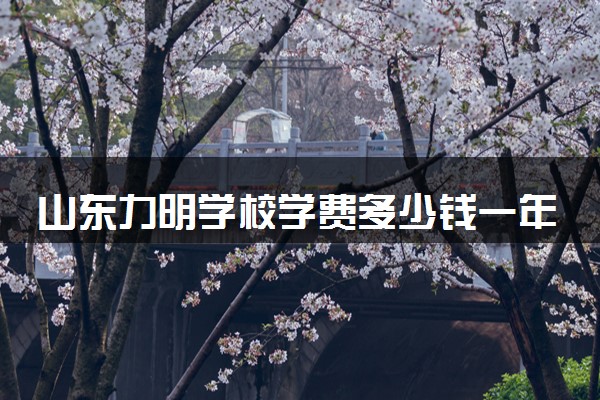 山东力明学校学费多少钱一年