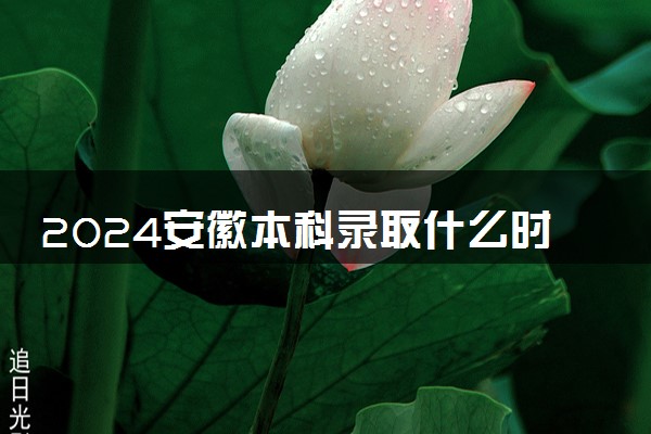 2024安徽本科录取什么时候结束 在哪查看录取结果