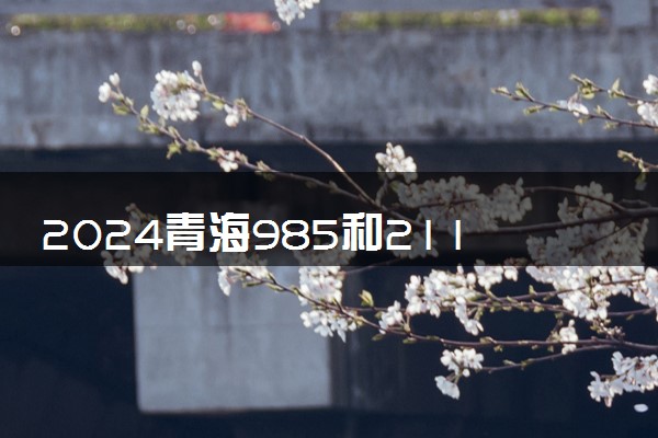2024青海985和211大学录取率及录取人数是多少