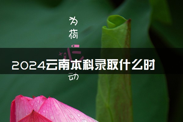 2024云南本科录取什么时候结束 在哪查看录取结果