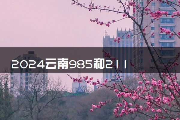 2024云南985和211大学录取率及录取人数是多少