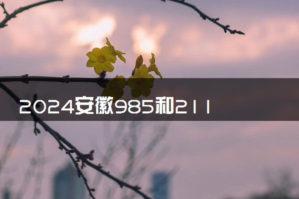 2024安徽985和211大学录取率及录取人数是多少