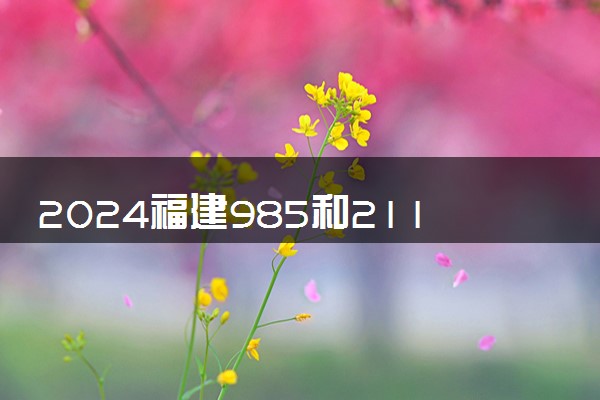 2024福建985和211大学录取率及录取人数是多少