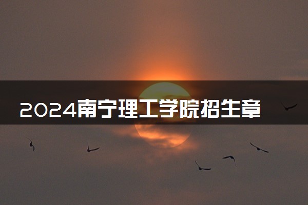 2024南宁理工学院招生章程 录取规则是什么