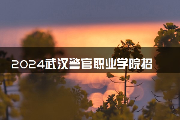2024武汉警官职业学院招生章程 录取规则是什么