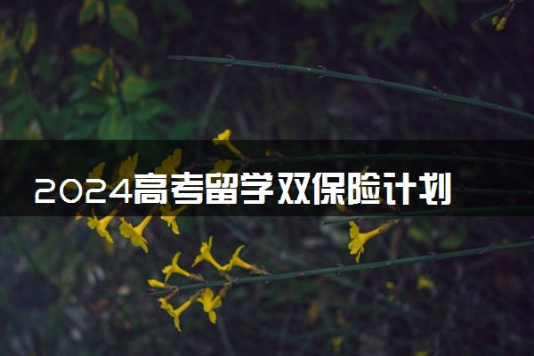 2024高考留学双保险计划 方案具体内容是什么