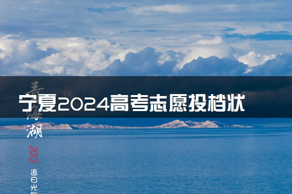 宁夏2024高考志愿投档状态怎么查 查询步骤及入口