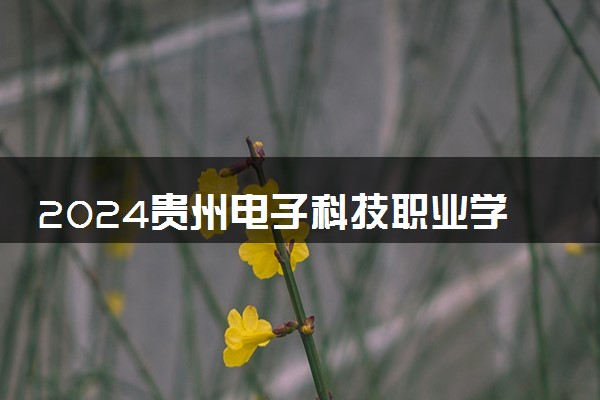 2024贵州电子科技职业学院招生章程 录取规则是什么