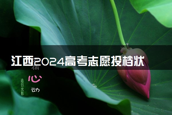 江西2024高考志愿投档状态怎么查 查询步骤及入口
