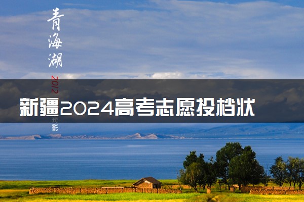 新疆2024高考志愿投档状态怎么查 查询步骤及入口