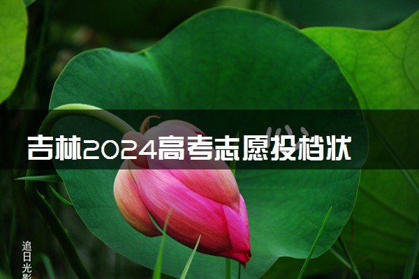 吉林2024高考志愿投档状态怎么查 查询步骤及入口