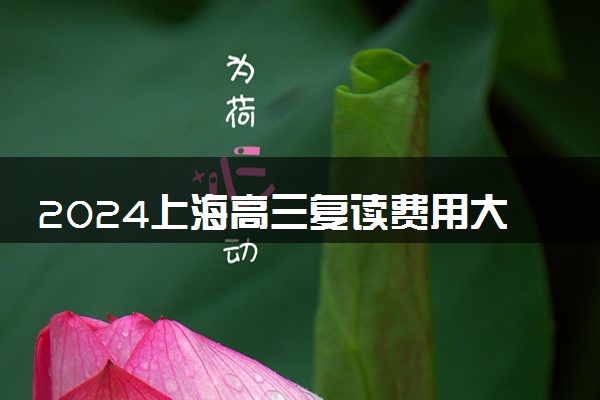 2024上海高三复读费用大概多少 复读一年学费多少钱