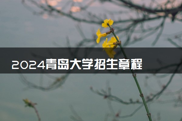 2024青岛大学招生章程 录取规则是什么