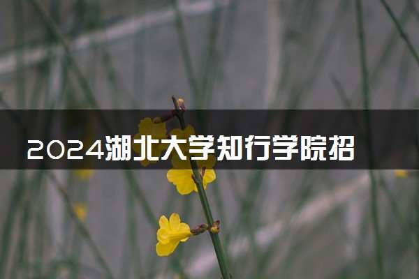 2024湖北大学知行学院招生章程 录取规则是什么