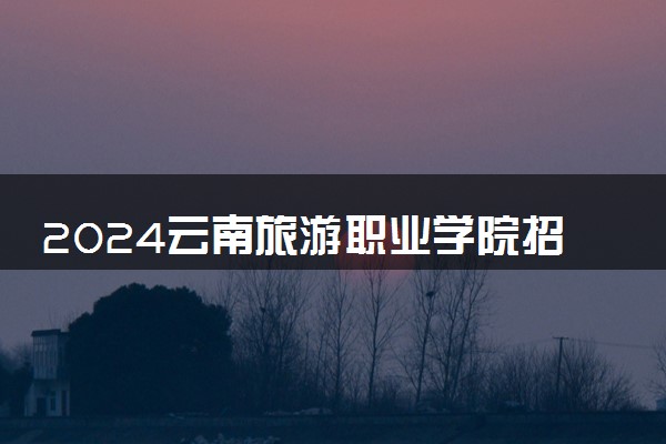 2024云南旅游职业学院招生章程 录取规则是什么